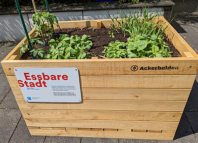 Hochbeet "Essbare Stadt" Hochbeet "Essbare Stadt"